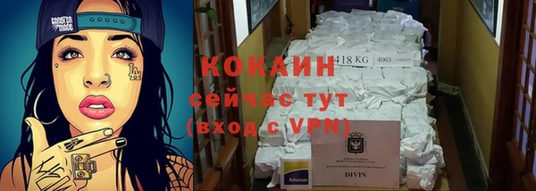 PSILOCYBIN Волосово