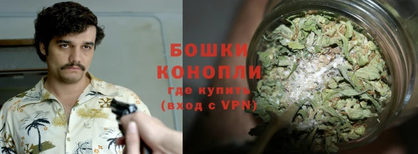 PSILOCYBIN Волосово