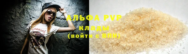 PSILOCYBIN Волосово