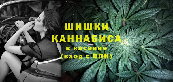 амф Верхний Тагил