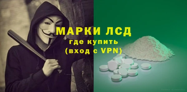 PSILOCYBIN Волосово