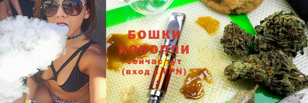 PSILOCYBIN Волосово