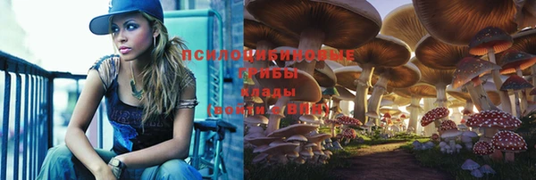 PSILOCYBIN Волосово