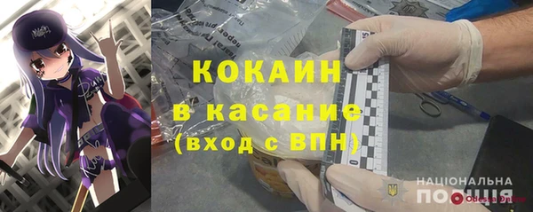 PSILOCYBIN Волосово